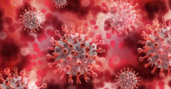В Америке и Франции зафиксировали самое большое количество COVID-больных с начала пандемии - Короновирус