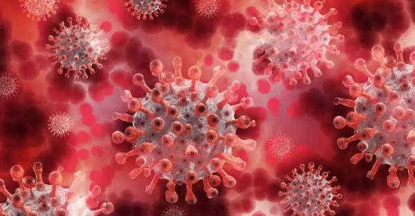 Ученые США предупредили, что "Омикрон" не станет последней мутацией коронавируса - Короновирус
