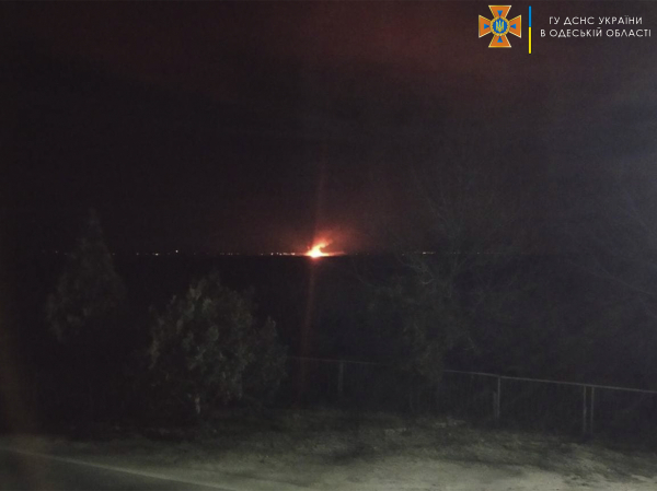 В Одесской области ночью полыхали пожары: погиб скот и горел Национальный парк - Проишествия
