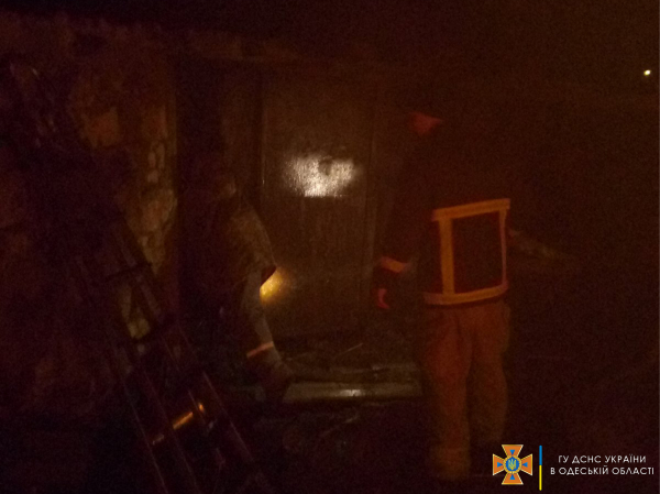 В Одесской области ночью полыхали пожары: погиб скот и горел Национальный парк - Проишествия