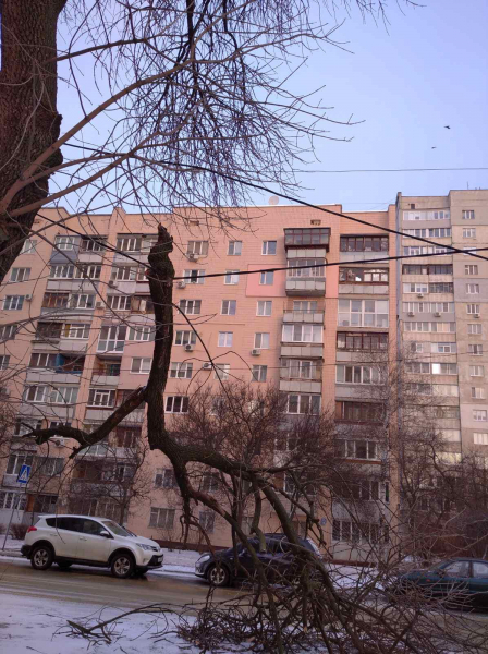 На самый высокий флагшток в Украине подняли новый флаг – взамен тому, который порвало ветром - Проишествия