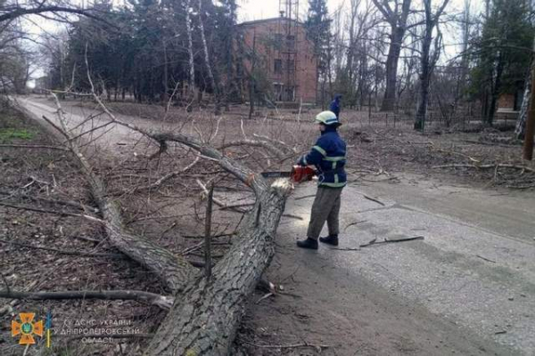 На Дніпропетровщині через сильний вітер ламаються дерева