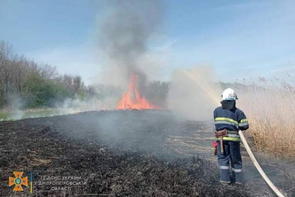 На Дніпропетровщині внаслідок пожеж загинула жінка та згоріли 4 гектари сухої трави