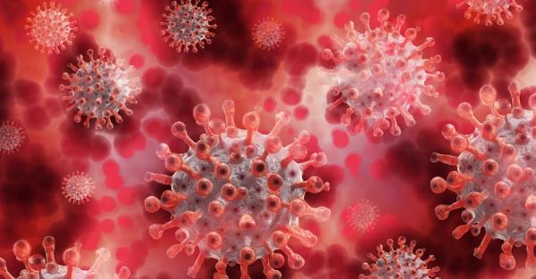 Міністр охорони здоров'я Віктор Ляшко розповів, яка наразі ситуація із поширенням коронавірусу в країні. - Коронавірус