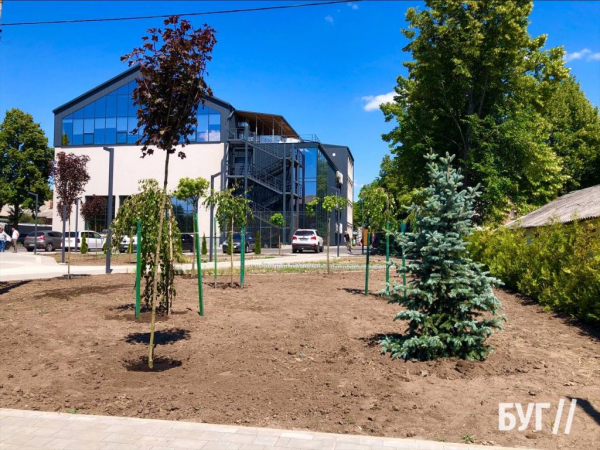 У «Форест-парку» в Нововолинську висадили зелені насадження | Новини Нововолинська