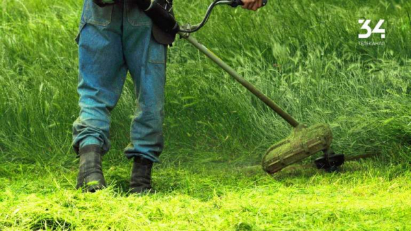 Борються із алергенами: У Дніпрі триває покіс трави  