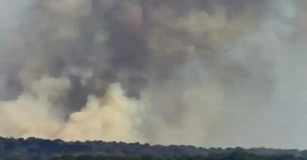 Живицький: Лісова пожежа на Сумщині зачепила і територію РФ - Події