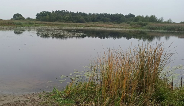 На річці Західний Буг у Литовезькій громаді виявили п'ять порушень рибальства | Новини Нововолинська
