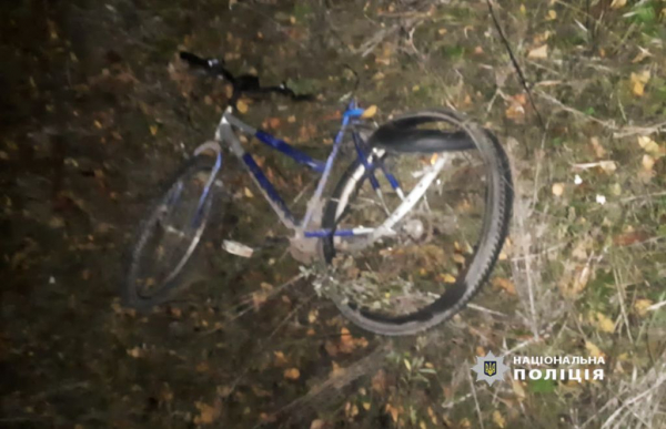 На трасі поблизу села Стара Лішня киянин на смерть збив велосипедиста | Новини Нововолинська