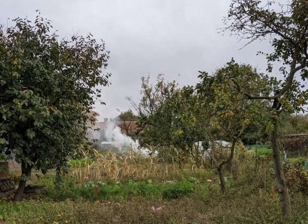 Мешканцям Нововолинська нагадали про штрафи за паління сухої трави | Новини Нововолинська