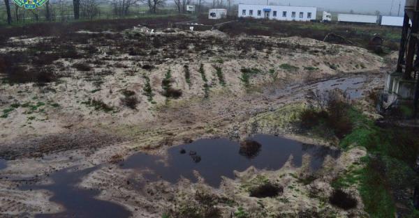 птахофабрика у Чорнобаївці перетворилася на місце масового поховання птахів - Події