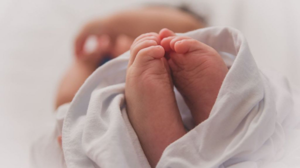 Протягом року у пологовому Нововолинська народились понад 460 малюків | Новини Нововолинська