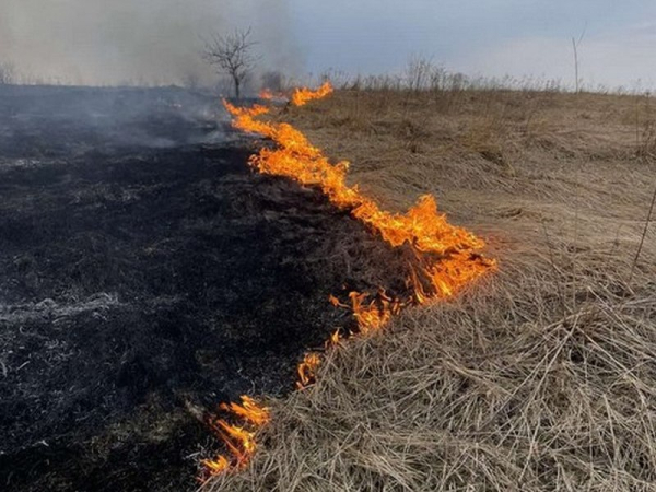 У Нововолинську на території майбутнього індустріального парку трапилася пожежа: горіла суха трава | Новини Нововолинська