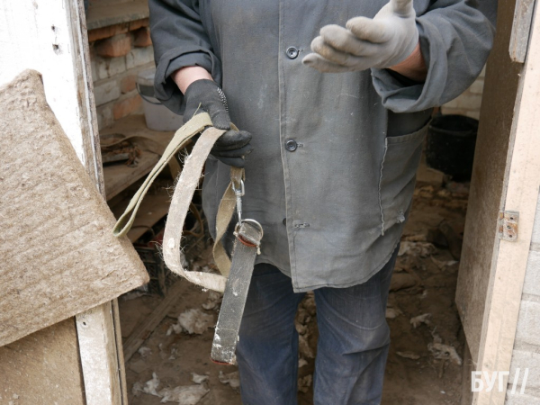 Тварини йдуть на поправку: Нововолинські дачники доглядають за алабаями, яких без води та їжі тримав горе-власник | Новини Нововолинська