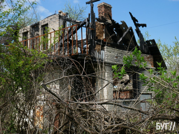 Тварини йдуть на поправку: Нововолинські дачники доглядають за алабаями, яких без води та їжі тримав горе-власник | Новини Нововолинська