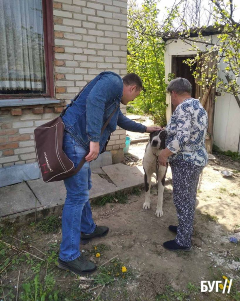 Тварини йдуть на поправку: Нововолинські дачники доглядають за алабаями, яких без води та їжі тримав горе-власник | Новини Нововолинська