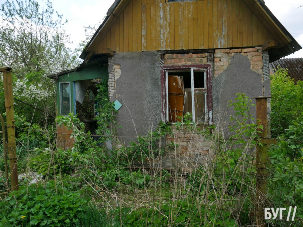 Тварини йдуть на поправку: Нововолинські дачники доглядають за алабаями, яких без води та їжі тримав горе-власник | Новини Нововолинська