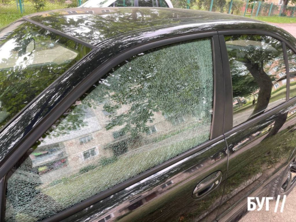 Косарі ненароком побили скло припаркованого авто у Нововолинську: власники транспортного засобу викликали поліцію | Новини Нововолинська