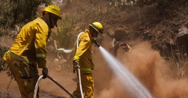 Внаслідок лісових пожеж на Гаваях загинуло вже майже 100 людей - Події