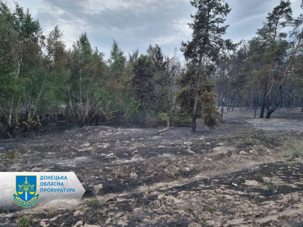 Лісова пожежа на Донеччині через російський обстріл під Лиманом - 08 травня 2024 :: Донеччина