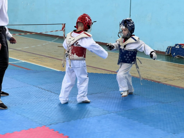 У Нововолинську відбувся чемпіонат міста з тхеквондо | Новини Нововолинська