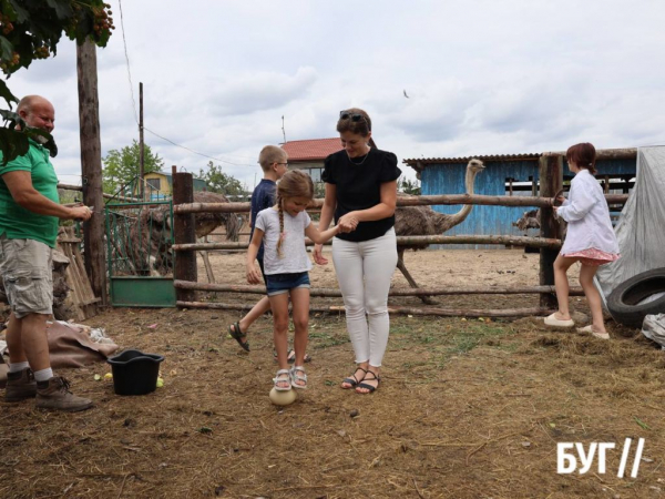 Страуси дісталися до Литовежа: нововолинець Ігор Мусій розповів про створення екзотичної ферми | Новини Нововолинська