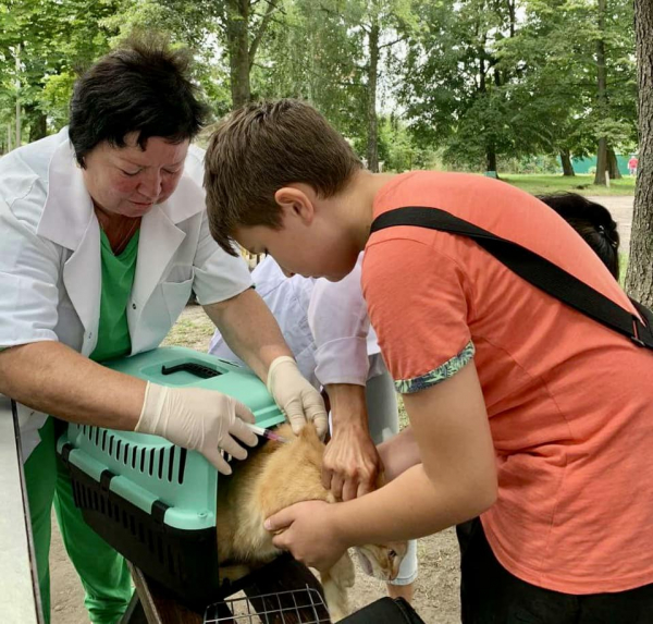 15 домашніх улюбленців провакцинували від сказу у Благодатному | Новини Нововолинська