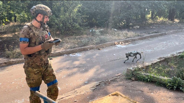 ЗСУ використовують на передовій у Донецькій області британських собак-роботів - 15 серпня 2024 :: Донеччина