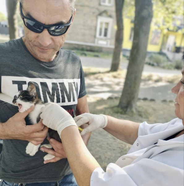 Осіння вакцинація: 17 тварин щепили від сказу у Благодатному | Новини Нововолинська