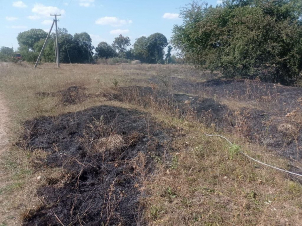 За минулу добу на території Володимирського району виникло шість пожеж | Новини Нововолинська