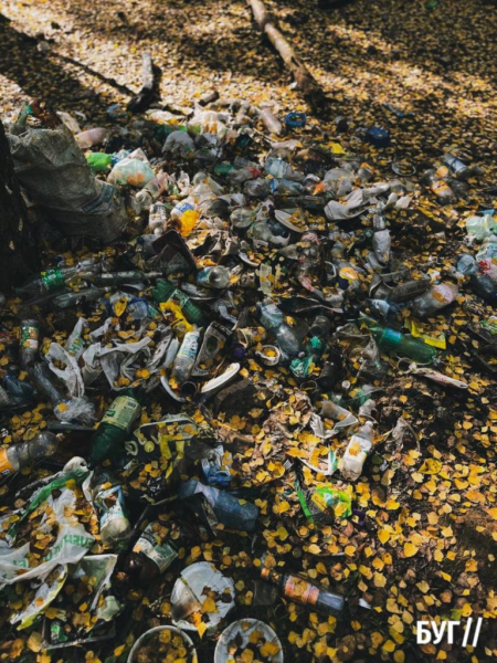 Фото дня: у Поромівському лісі люди влаштували «сміттєзвалище» | Новини Нововолинська