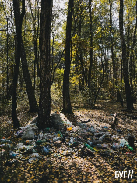 Фото дня: у Поромівському лісі люди влаштували «сміттєзвалище» | Новини Нововолинська