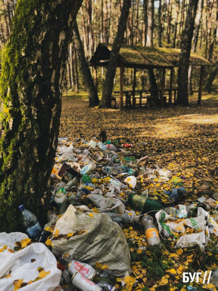 Фото дня: у Поромівському лісі люди влаштували «сміттєзвалище» | Новини Нововолинська