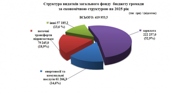 Бюджет Нововолинської громади на 2025 рік становитиме 450 мільйонів гривень: проєкт | Новини Нововолинська