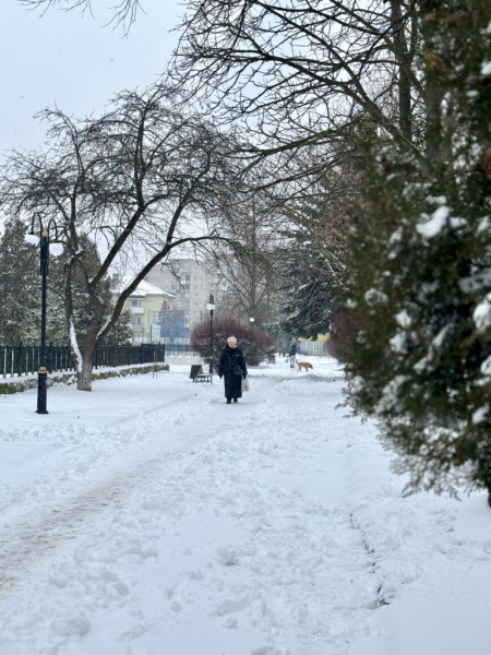 Фото дня: у Нововолинськ завітала справжня зима | Новини Нововолинська