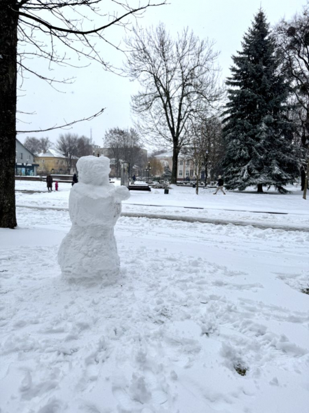 Фото дня: у Нововолинськ завітала справжня зима | Новини Нововолинська