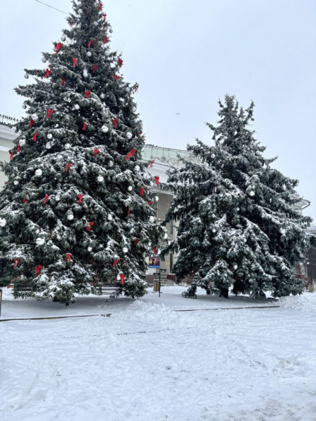 Фото дня: у Нововолинськ завітала справжня зима | Новини Нововолинська