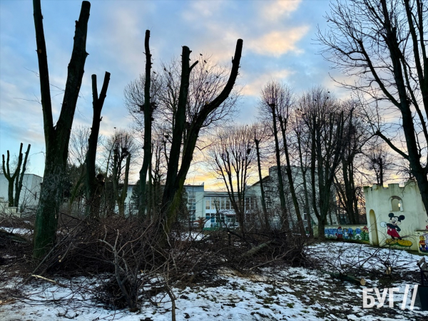 Фото дня: у парку Нововолинська триває санітарна обрізка дерев | Новини Нововолинська