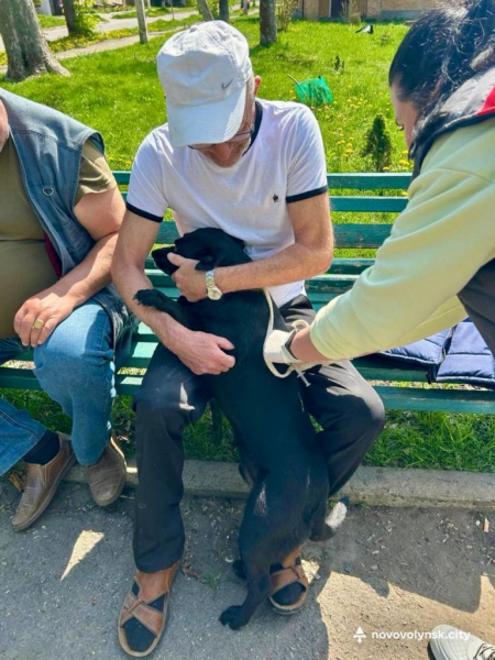 У Нововолинській громаді безкоштовно вакцинували домашніх тварин від сказу | Новини Нововолинська