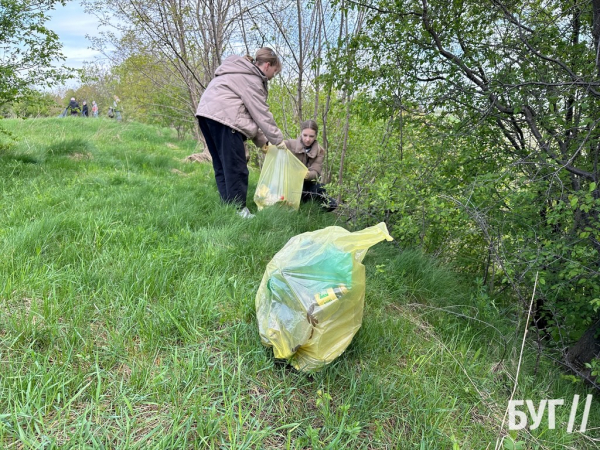 У Нововолинську на території озера відбулась толока | Новини Нововолинська