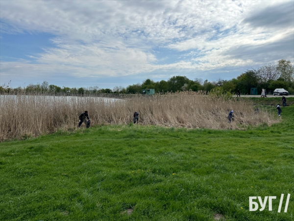 У Нововолинську на території озера відбулась толока | Новини Нововолинська