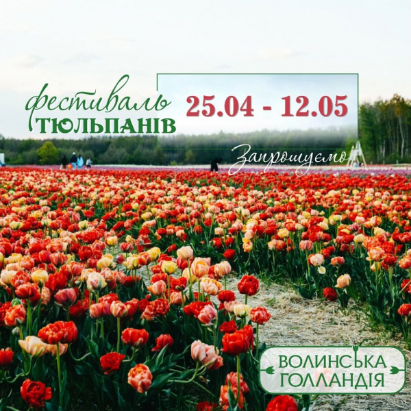 Фестиваль квітів, ярмарок та концерти: куди піти у Нововолинську та Володимирі цього тижня | Новини Нововолинська