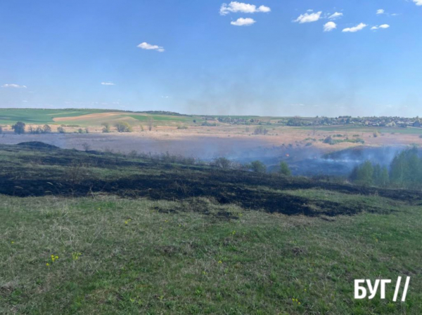 Біля Нововолинська загорілась суха трава та чагарники | Новини Нововолинська Біля Нововолинська загорілась суха трава та чагарники | Новини Нововолинська