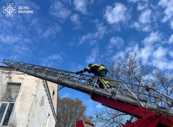 У центрі професійної освіти Нововолинська «виникла пожежа»: рятувальники провели навчання | Новини Нововолинська У центрі професійної освіти Нововолинська «виникла пожежа»: рятувальники провели навчання | Новини Нововолинська