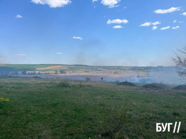 Біля Нововолинська загорілась суха трава та чагарники | Новини Нововолинська Біля Нововолинська загорілась суха трава та чагарники | Новини Нововолинська