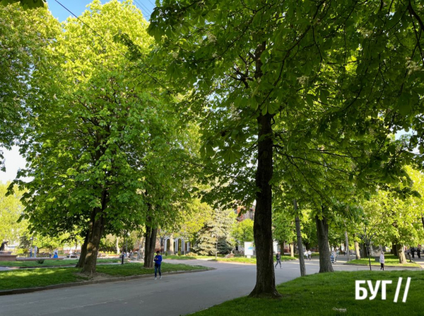 Фото дня: у Нововолинську цвітуть каштани | Новини Нововолинська Фото дня: у Нововолинську цвітуть каштани | Новини Нововолинська