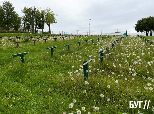 Фото дня: літню естраду в Нововолинську «прикрасив» цвіт кульбаби | Новини Нововолинська