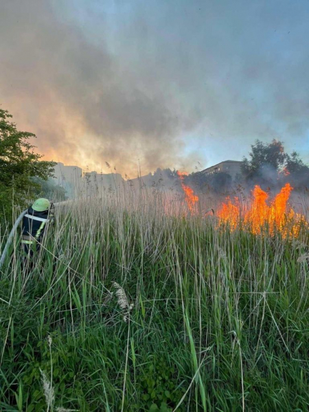 У Нововолинську та Володимирі горіла суха трава | Новини Нововолинська