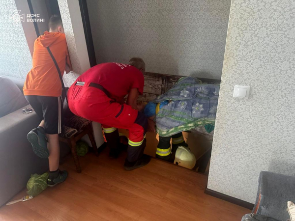 Рятувальники допомогли жінці, яка впала у підвал будинку у Нововолинській громаді | Новини Нововолинська