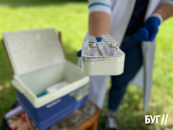 У Нововолинську безкоштовно вакцинують від сказу домашніх тварин | Новини Нововолинська У Нововолинську безкоштовно вакцинують від сказу домашніх тварин | Новини Нововолинська